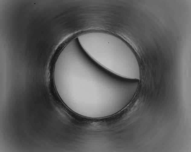 X0000088190584200705151001