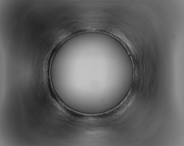 X0000088190585200705151001