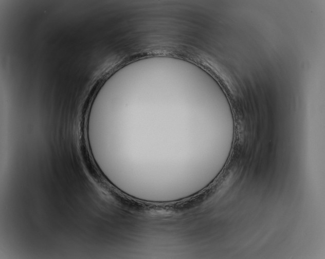 X0000088190586200705151001