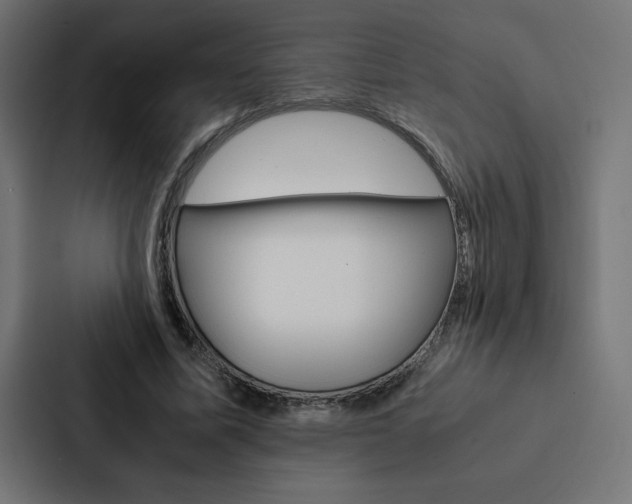 X0000088190587200705151001