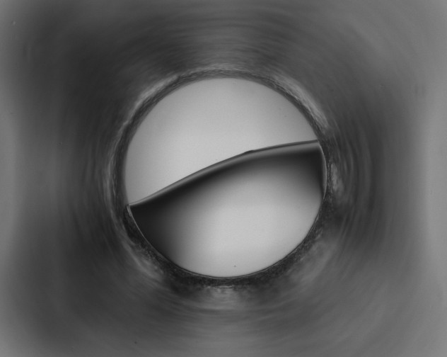 X0000088190588200705151001