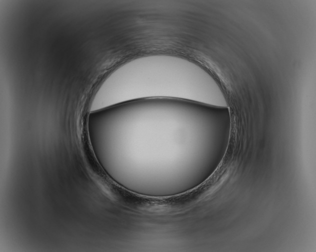X0000088190589200705151001