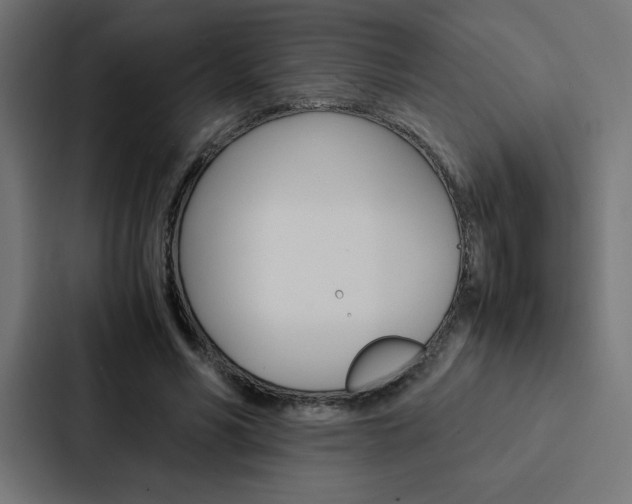 X0000088190590200705151001