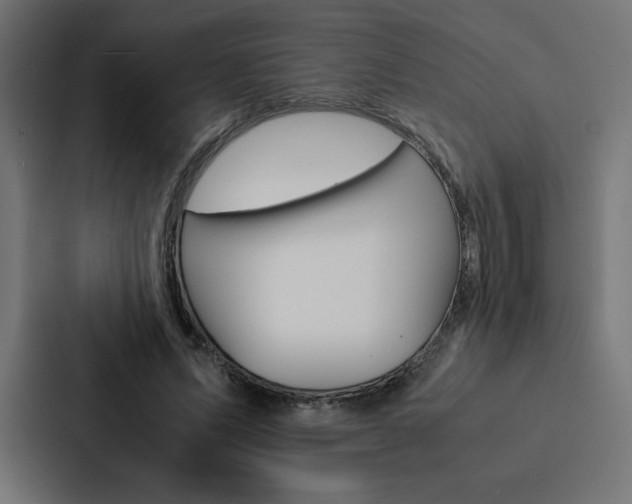 X0000088190591200705151001