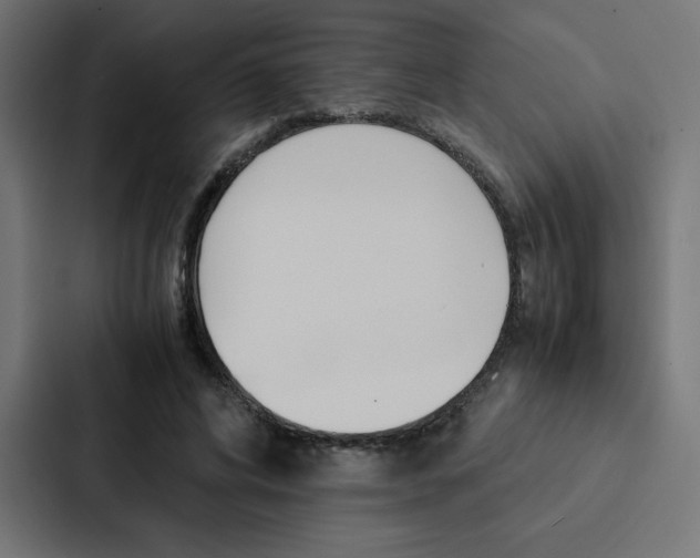 X0000088190592200705151001
