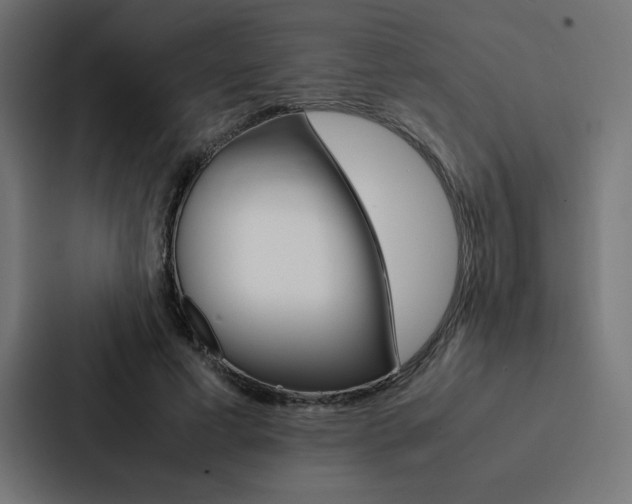 X0000088190593200705151001