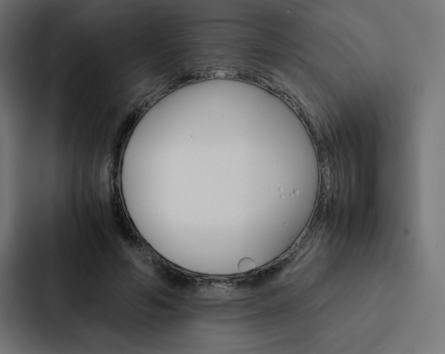 X0000088190594200705151001