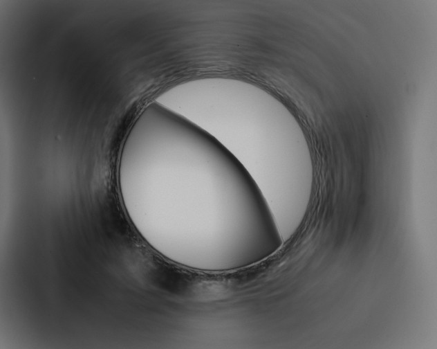 X0000088190595200705151001