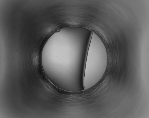 X0000088190596200705151001