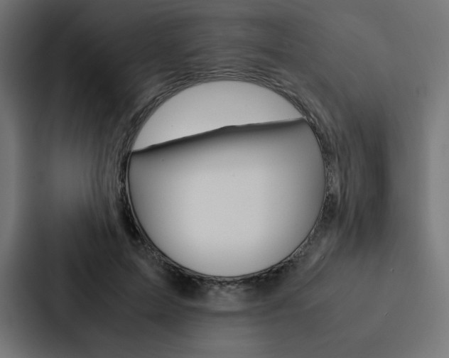 X0000088190599200705151001