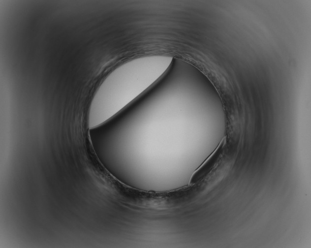 X0000088190600200705151001