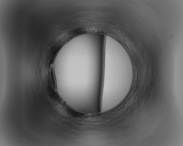 X0000088190601200705151001
