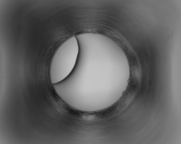 X0000088190602200705151001