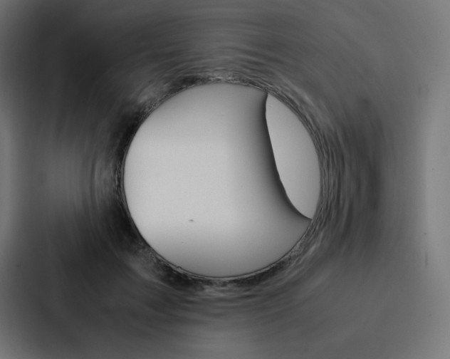 X0000088190603200705151001