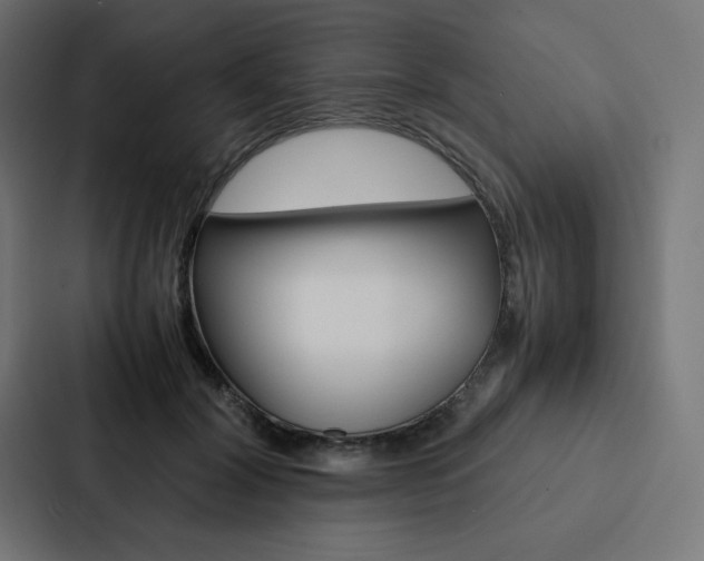 X0000088190604200705151001