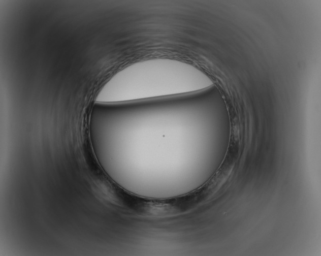 X0000088190605200705151001
