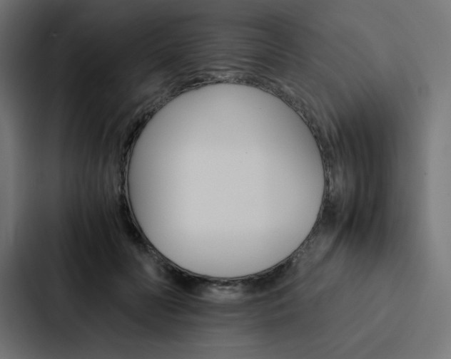 X0000088190606200705151001