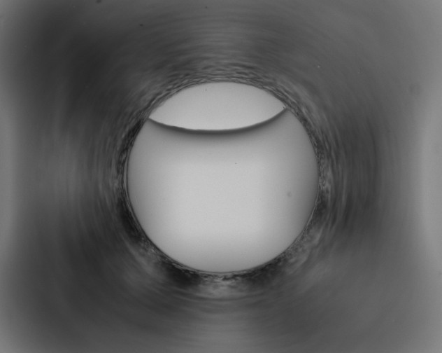 X0000088190607200705151001