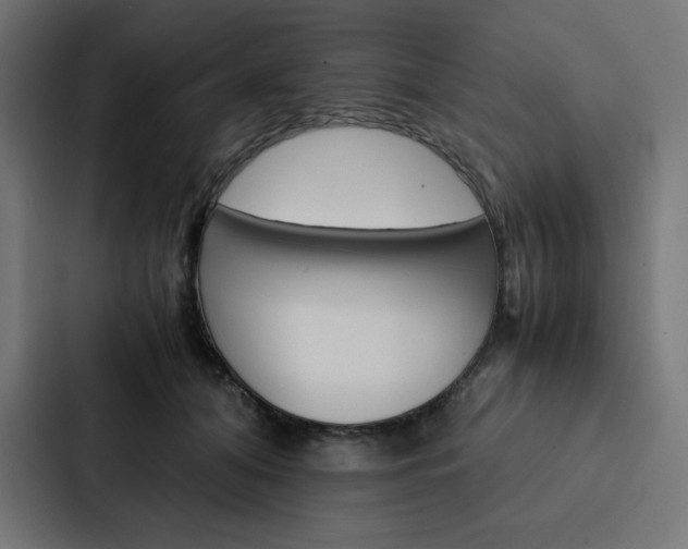 X0000088190608200705151001