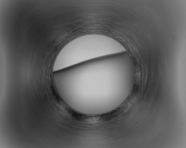 X0000088190609200705151001