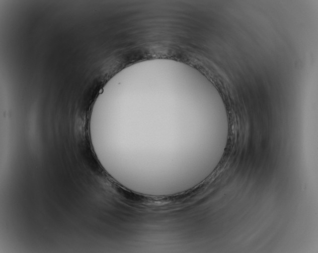 X0000088190610200705151001