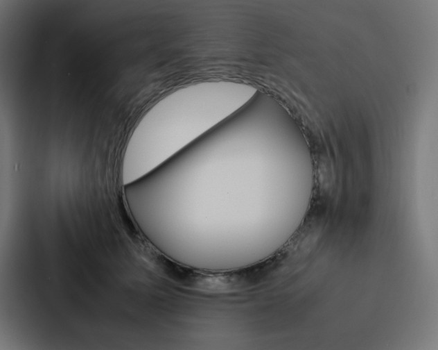 X0000088190611200705151001