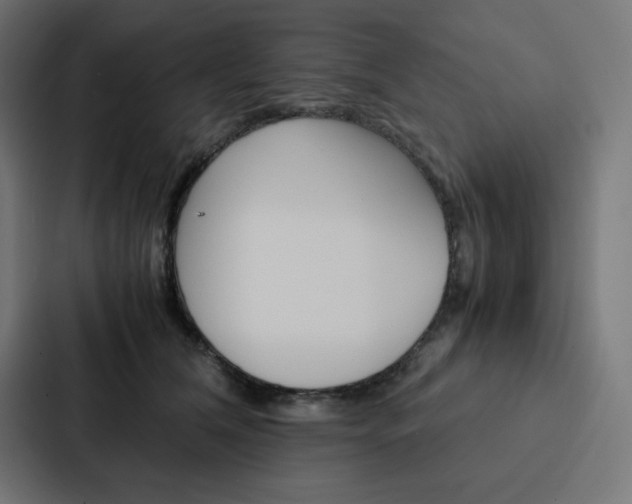 X0000088190612200705151001