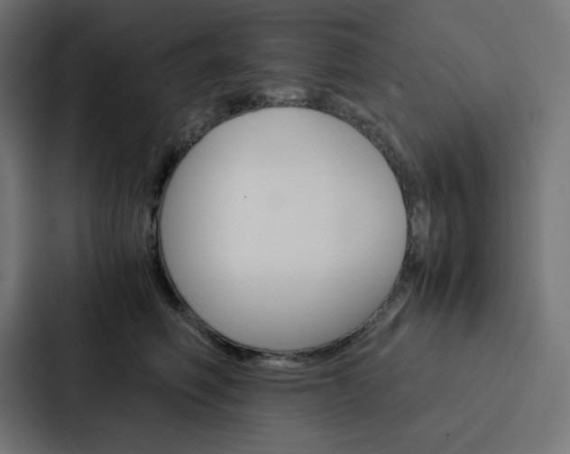X0000088190614200705151000