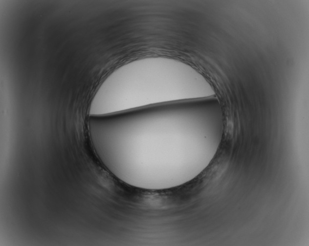 X0000088190616200705151000
