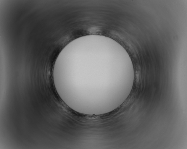X0000088190618200705151000