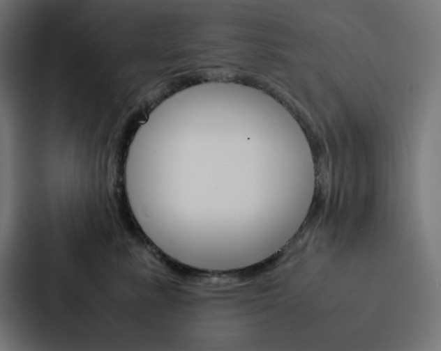 X0000088190619200705151000