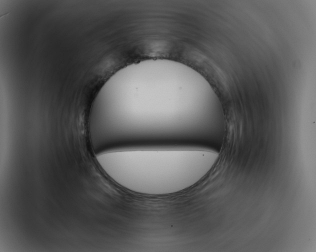X0000088190620200705151000