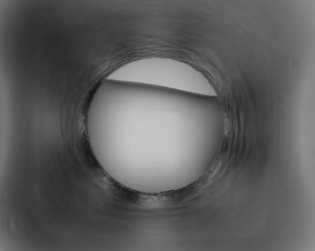 X0000088190621200705151000