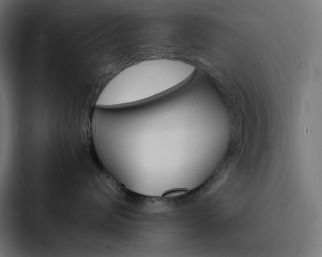 X0000088190624200705151000
