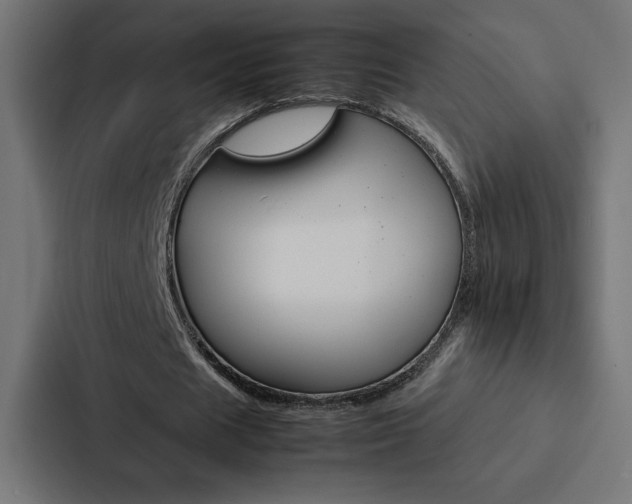 X0000088190625200705151000