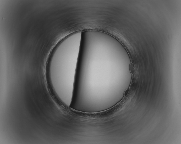 X0000088190626200705151000