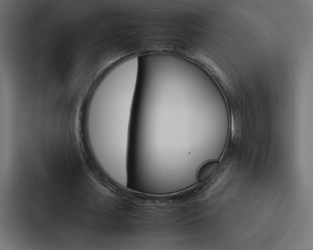X0000088190627200705151000