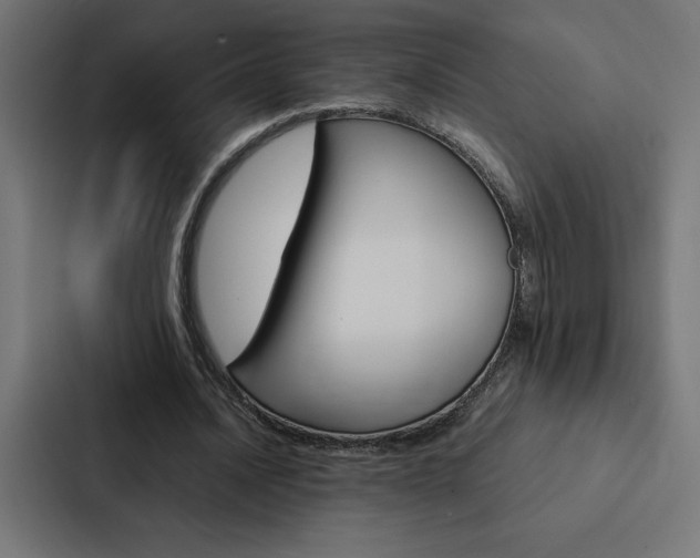 X0000088190628200705151000