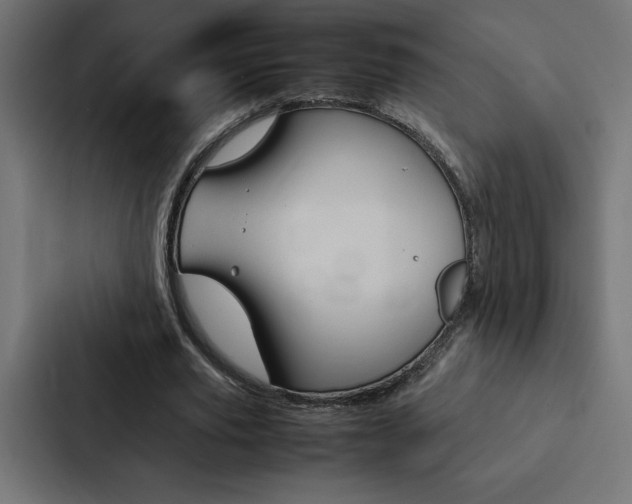 X0000088190629200705151000