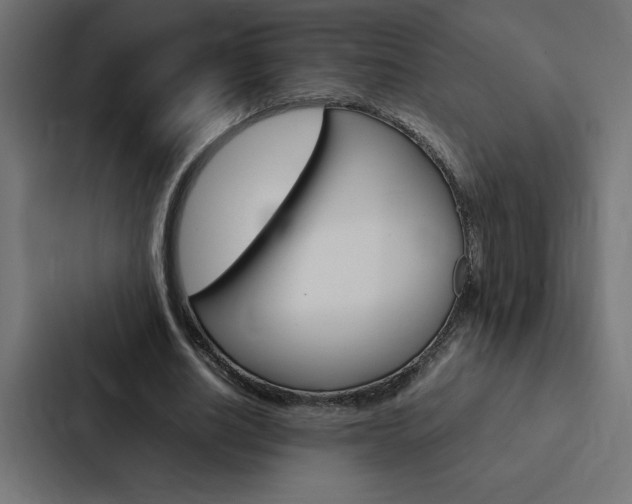 X0000088190630200705151000