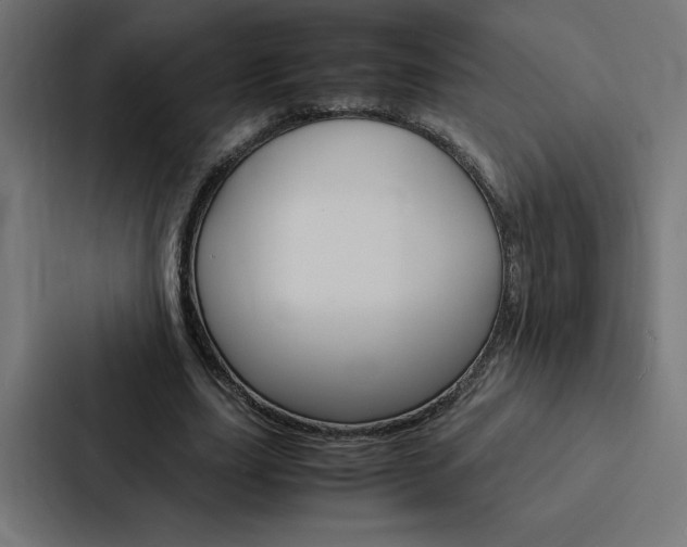 X0000088190631200705151000