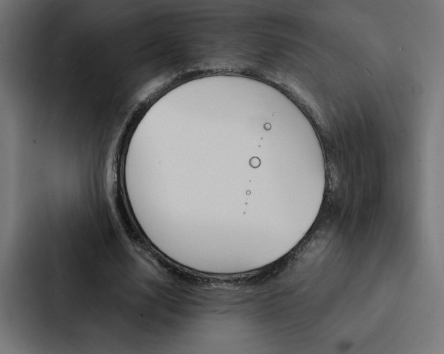 X0000088190632200705151000