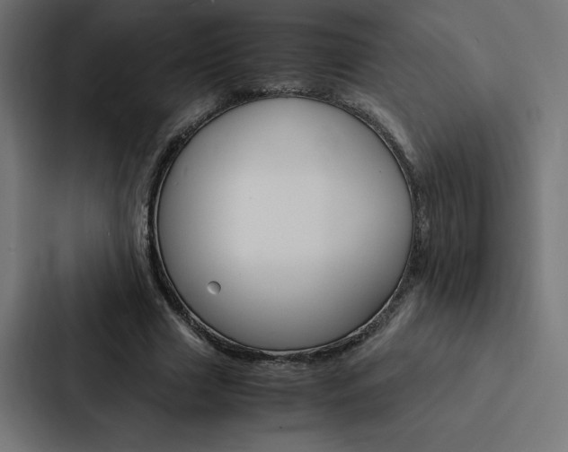 X0000088190633200705151000
