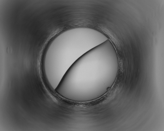 X0000088190634200705151000