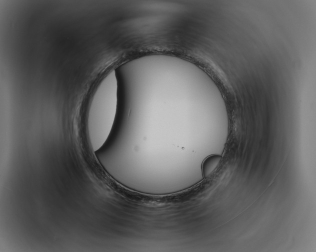 X0000088190635200705151000