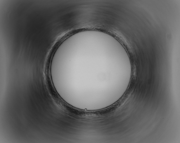 X0000088190636200705151000