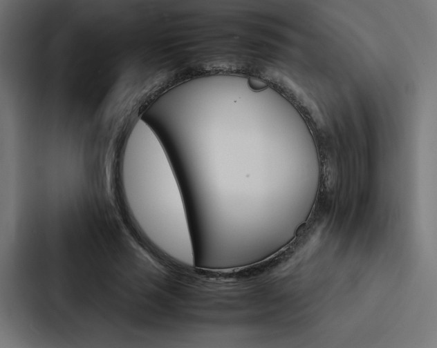 X0000088190637200705151000