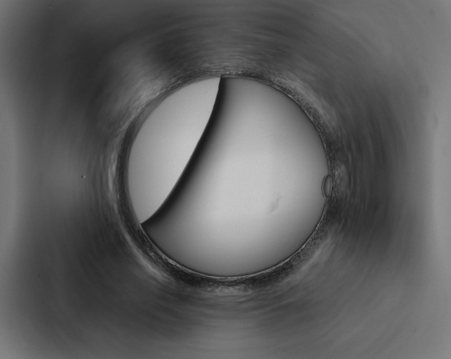 X0000088190638200705151000