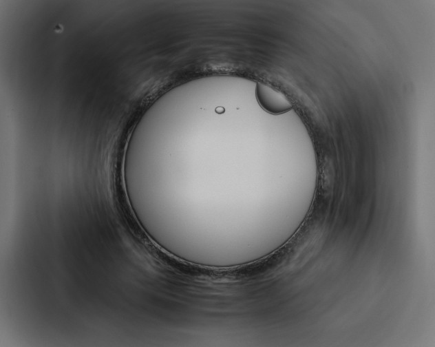 X0000088190639200705151000