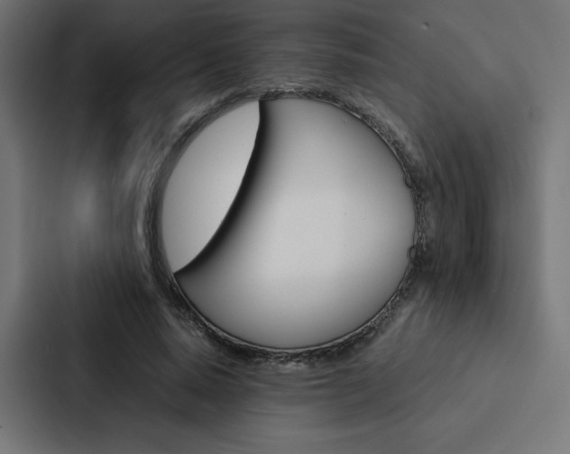 X0000088190640200705151000